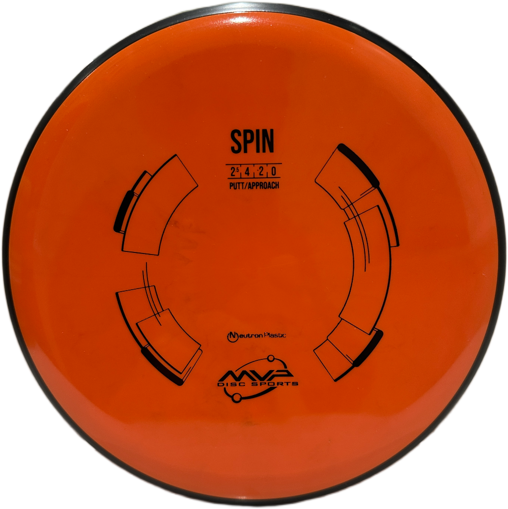 Neutron Spin