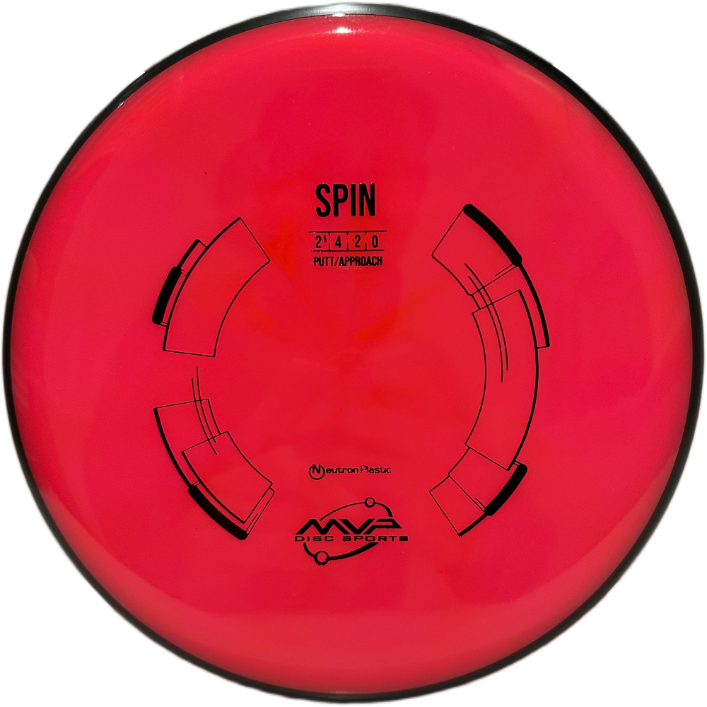 Neutron Spin