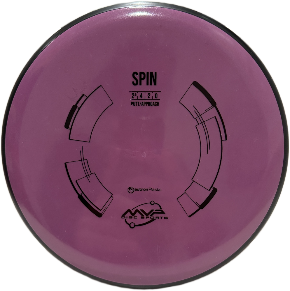 Neutron Spin