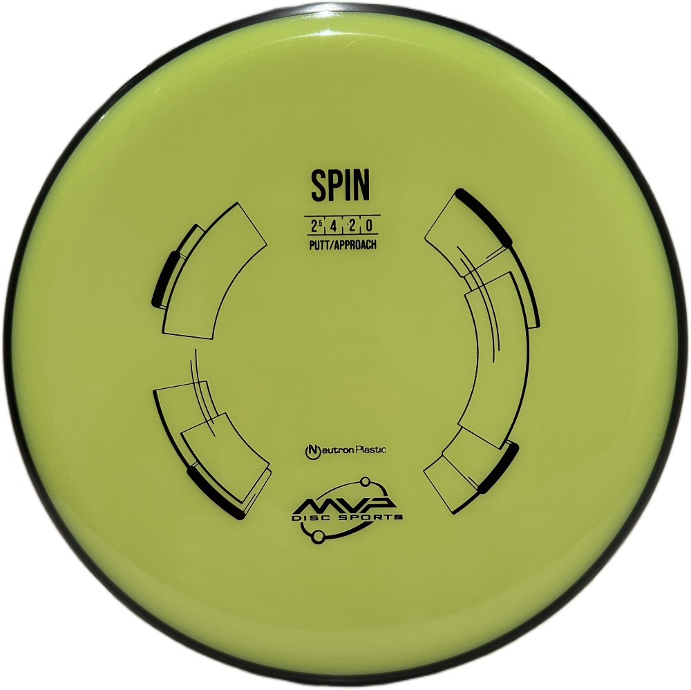 Neutron Spin