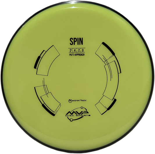 Neutron Spin