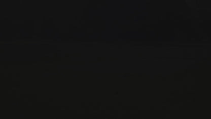 Repz Sports - ThroForm